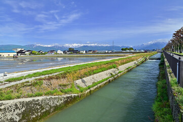 Fototapeta premium 水豊かな用水路の風景 富山県入善町