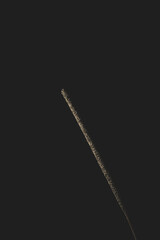 Mexican copal incense sticks on black background