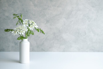 白い花　植物　背景　シンプル　コピースペース