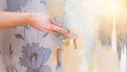 Removing old wallpaper with a spatula and a sprayer with water. A man removes old wallpaper in a...