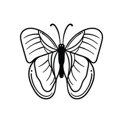 hand drawn butterfly vintage doodle illustration for tattoo stickers poster etc