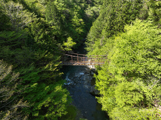 Fototapeta premium 徳島県三好市 奥祖谷二重かずら橋 男橋