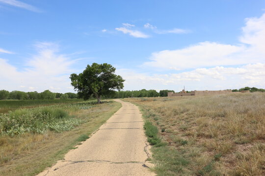 A Trail Or Road Dirt Path Goes Past A Tree Near Bent's Old Fort In Southeast Colorado