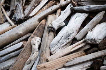 Driftwood collected on a beach.