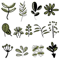 Set of floral elements in doodle style. Vector arrangements for greeting card or invitation design 