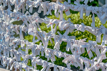 東京都港区芝公園のお寺に縛られたたくさんのおみくじ