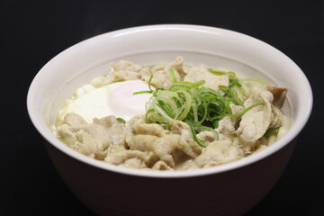 肉・ネギ・玉子入りうどん