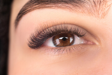 Eye close-up. beautiful woman with eyelash and eyebrow correction in a beauty salon, eyelash...