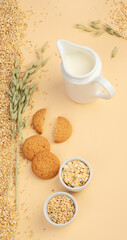 Oats on colourful background.