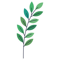 leaves in branch