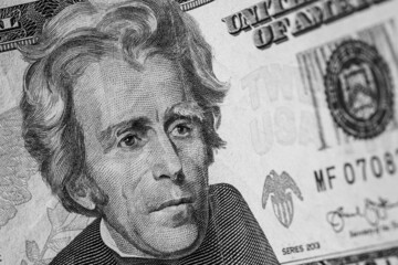 stack of twenty dollars banknotes, close up, front side