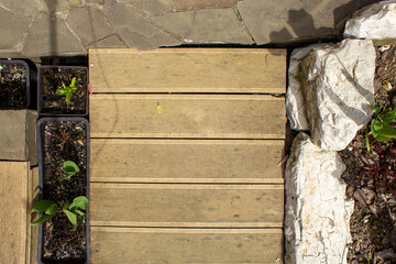Decor of the border of a garden path from a wood-plastic composite board with green plants. After rain. Springtime.