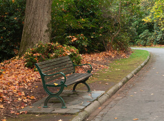 A wooden park bench or chair surround by fallen leaves with bright autumn/ fall colours 
