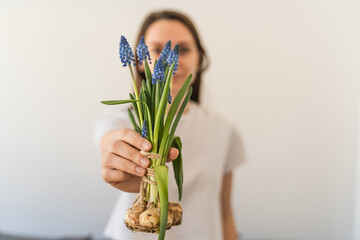Woman in white t-shirt holds a bunch of blue muscari flowers with bulbs in her hand. Isolated on white background.