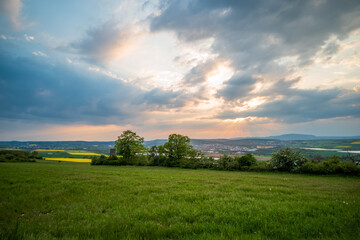 sunset over the field