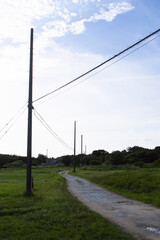 Fototapeta premium 両側が草原の未舗装路の道沿いに電柱が立ち並んでいる
