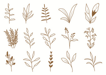 Hand drawn botanical set leaves and flowers for decoration.