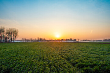 Fototapeta na wymiar countryside landscape,wheat field with morning sunshine