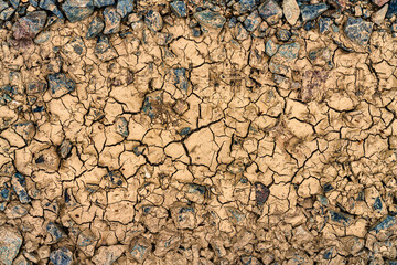 Ausgetrockneter Boden