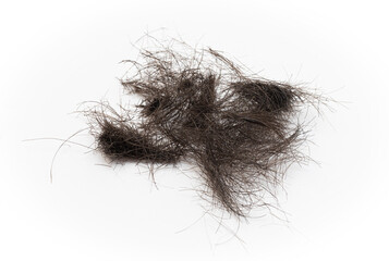 A bunch of dark hair after a haircut on a white background close-up. It is Cutting black hair isolated on white.