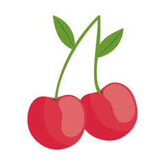 fresh cherries fruit