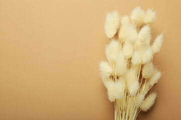 Hygge concept, dried flowers on brown background