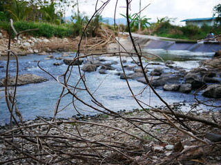 stream in the forest