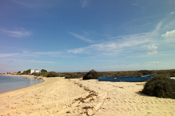 Sandy beaches on the Culatra Island near Olhao, Algarve - Portugal 