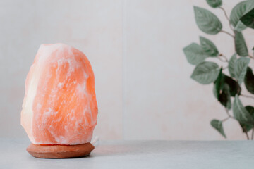 Himalayan salt lamp on table with home plants and book - obrazy, fototapety, plakaty