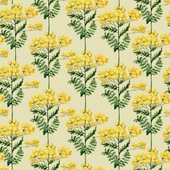 Watercolor wild tansy flowers pattern on light yellow