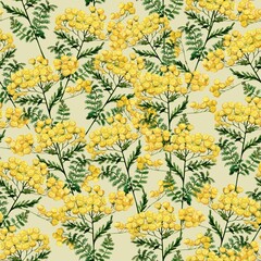 Watercolor wild flowers and blooming herbs pattern with tansy on yellow