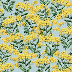 Watercolor wild flowers and blooming herbs pattern with tansy on green-grey