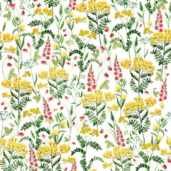 Watercolor wild flowers and blooming herbs pattern with tansy
