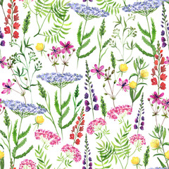 Watercolor wild flowers and blooming herbs pattern with yarrow