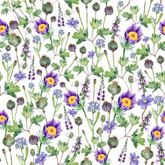 Watercolor wild flowers and blooming herbs pattern, with poppy seeds and anemones