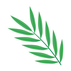 tropical branch with leafs