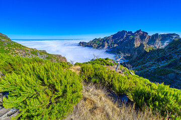 Trek to Pico Ruivo z Achada Texada. Mountain hikes on the island of Madeira