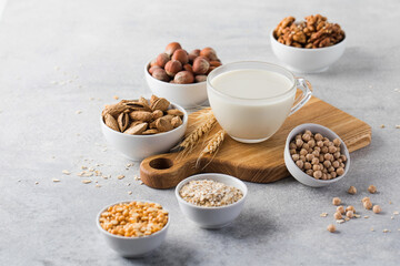 Vegetable milk in a mug on the background of bowls with nuts, oatmeal and legumes. An alternative to dairy products.