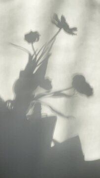Defocused shadows of flower bouquet moving on a windy weather
