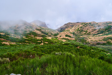 Mountains in Madeira in the fog, grassy plateau, pastoral area