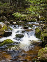 Obraz premium Typical small river in Spring in Massif Central, France