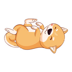 shiba inu lying