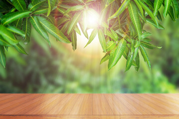 Empty wooden table in front of the mango tree with sunlight.