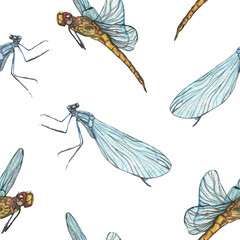 Dragonfly pattern in watercolor technique,isolated on white background.Hand painting dragonfly stylish print for textile design and decoration wallpaper.