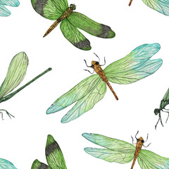 Dragonfly pattern in watercolor technique.Hand painting dragonfly stylish print for textile design and decoration wallpaper.Isolated print on white background.