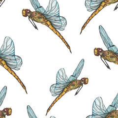 Dragonfly pattern in watercolor technique.Hand painting dragonfly stylish print for textile design and decoration wallpaper