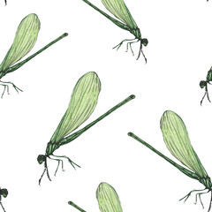 Dragonfly pattern in watercolor technique.Hand painting dragonfly stylish print for textile design and decoration wallpaper.