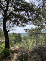 Fototapeta na wymiar Panoramic view of Kemer, Turkey. View from the height through the pine trees of the Mediterranean coast. Chalysh mountain in Kemer, Turkey