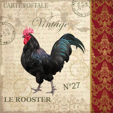 Vintage postcard with rooster.