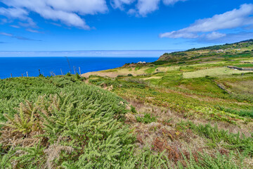 Fototapeta na wymiar Coast at the lighthouse Ponta do Pargo on Madeira, beautiful madeira coastline, lonely trees